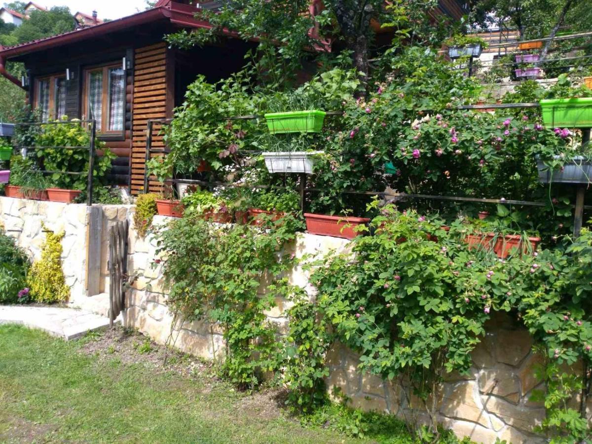 סראייבו The Bungalows מראה חיצוני תמונה