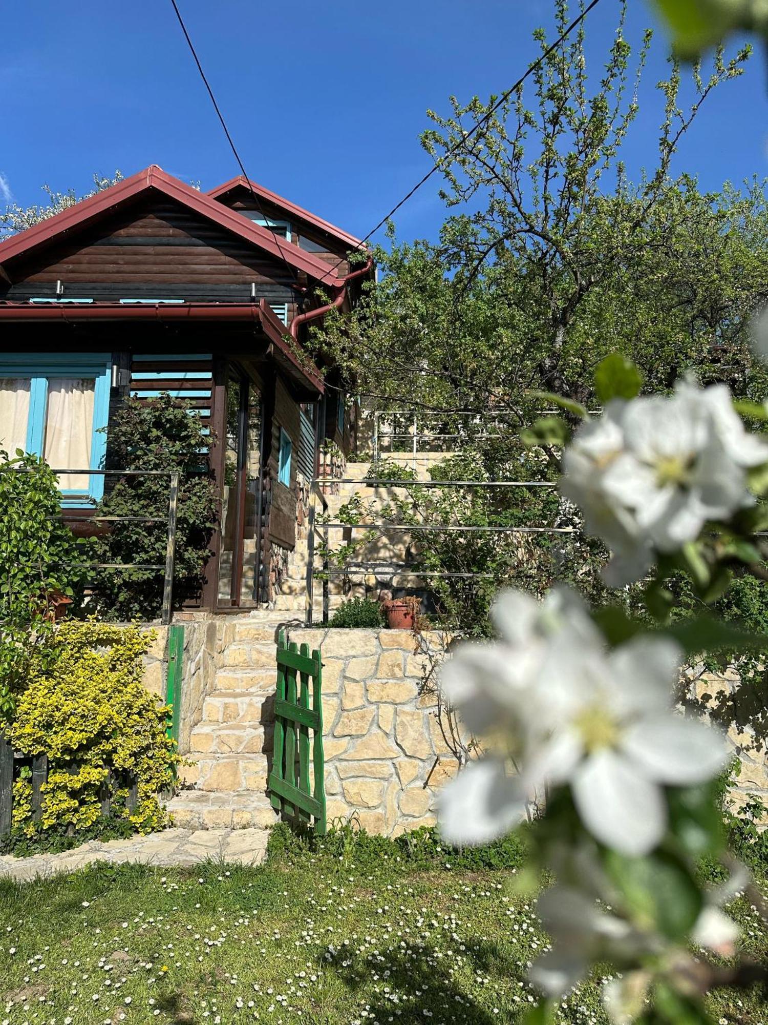 סראייבו The Bungalows מראה חיצוני תמונה